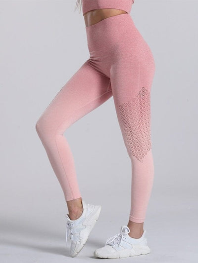 Legging Sport Dégradé Sans Couture Leggings Ultime Legging : Legging Femme | Vêtements de Sport 