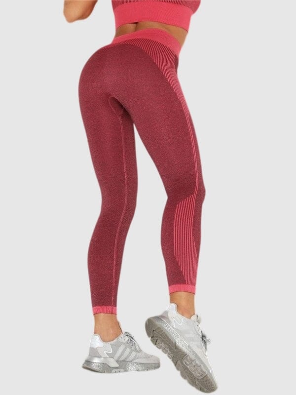 Legging Sport Sans Couture Fitness Ultime Legging : Legging Femme | Vêtements de Sport 