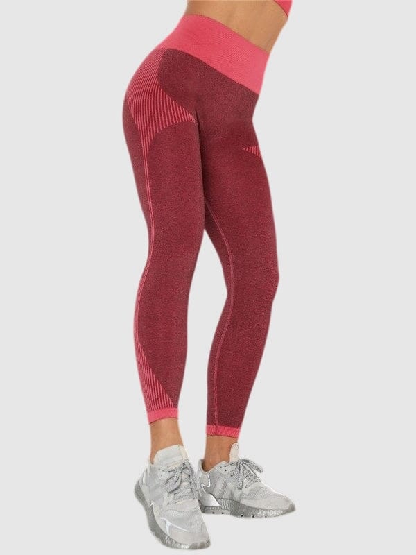 Legging Sport Sans Couture Fitness Ultime Legging : Legging Femme | Vêtements de Sport 