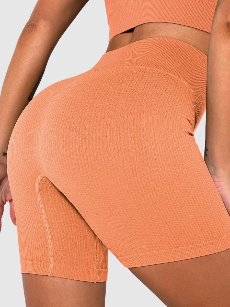 Short Sport Sans Couture Côtelé Shorts Ultime Legging : Legging Femme | Vêtements de Sport 