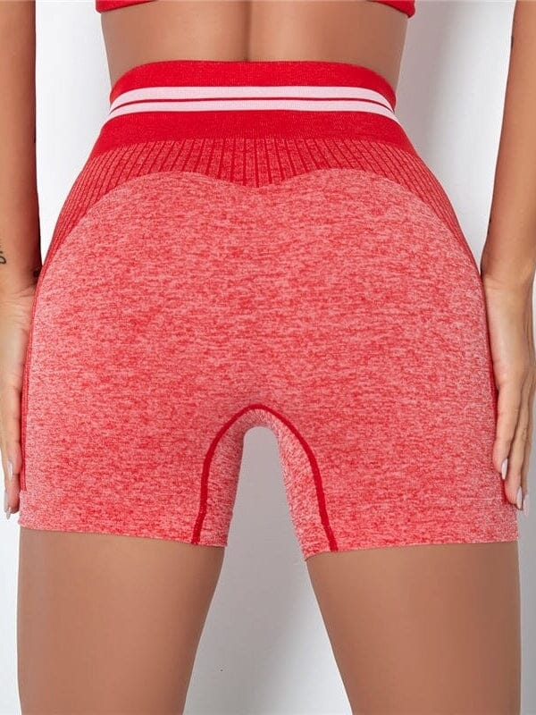Short Sport Sans Couture Shorts Ultime Legging : Legging Femme | Vêtements de Sport 