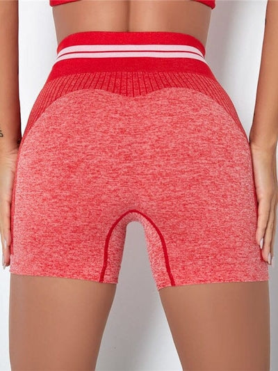 Short Sport Sans Couture Shorts Ultime Legging : Legging Femme | Vêtements de Sport 